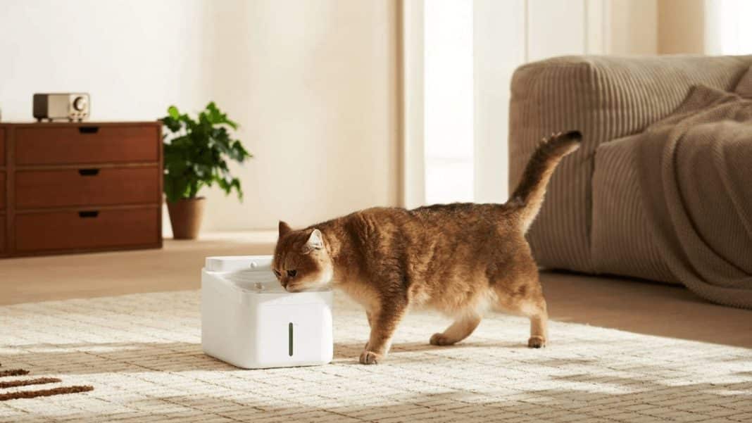 Xiaomi Smart Pet Fountain 2 não bate a clássica tigelinha [Review]