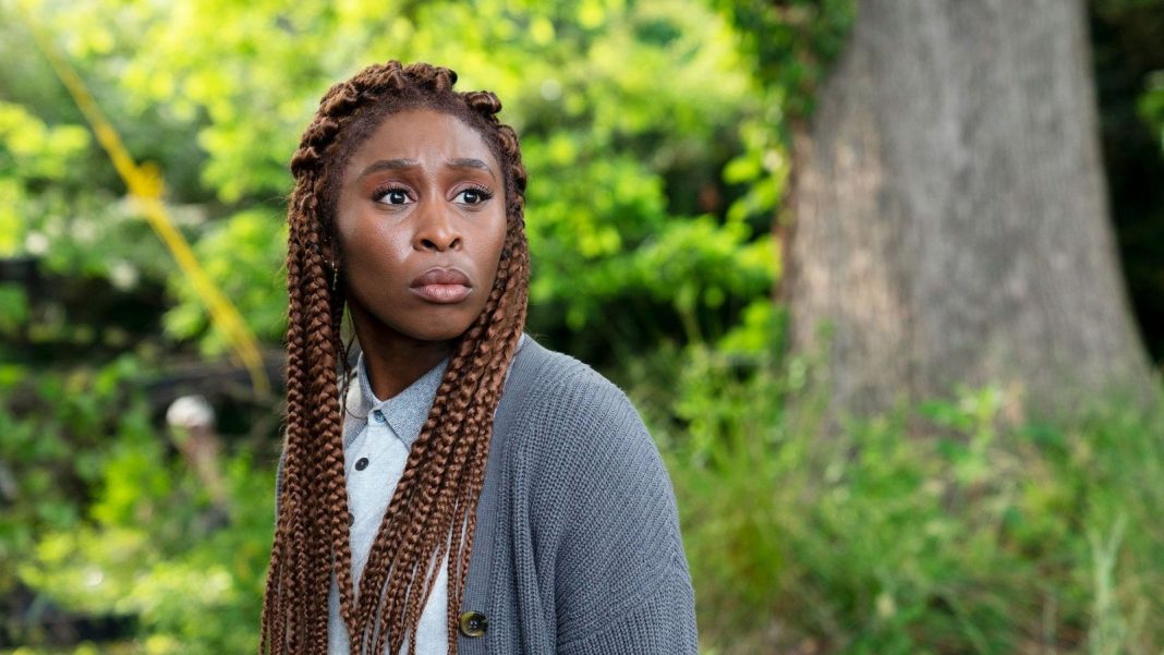 Quem é Cynthia Erivo? Conheça 8 filmes e séries com Quem é Cynthia Erivo? Conheça 8 filmes e séries com a estrela de Wicked