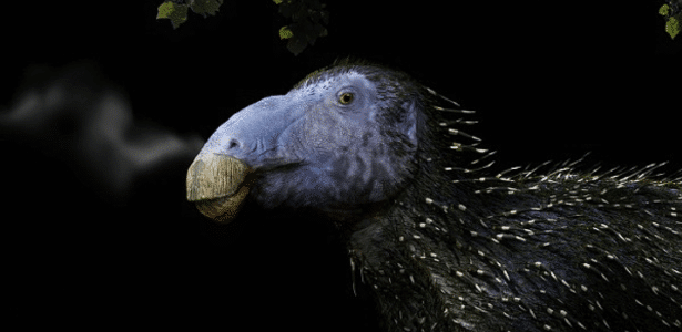 Dinossauro com espinhos ocos nunca antes vistos é descoberto na Reconstrução artística de um Haolong dongi