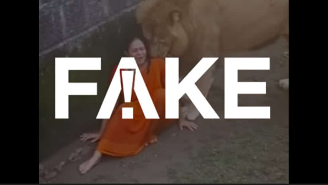 É #FAKE vídeo de leão cheirando mulher que teria caído É #FAKE vídeo de leão cheirando mulher que teria caído em jaula na Índia; cena foi criada com inteligência artificial