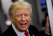 Trump teria confundido empresa de tecnologia com rede de sushi ao comprar ações Trump ordena fim do Claude, IA da Anthropic, no governo dos EUA