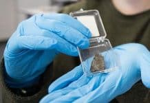 Cientistas encontraram tinta de canetas em meteoritos de Marte Meteorito marciano analisado em pesquisa da Universidade do País Basco (EHU)