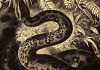 Fóssil de serpente gigante revela uma das maiores cobras que já existiram Representação artística da serpente pré-histórica descoberta na Índia, uma das maiores já registradas