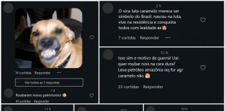 México reconhece ‘cachorro caramelo’ como raça mexicana e provoca reação de brasileiros nas redes sociais México reconhece 'cachorro caramelo' como raça mexicana e provoca reação de brasileiros nas redes sociais