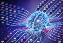 A nobreza estratégica do esquecimento na era da inteligência artificial A nobreza estratégica do esquecimento na era da inteligência artificial