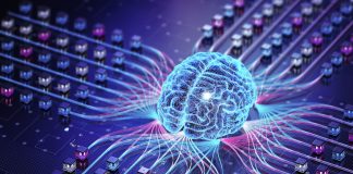 A nobreza estratégica do esquecimento na era da inteligência artificial A nobreza estratégica do esquecimento na era da inteligência artificial