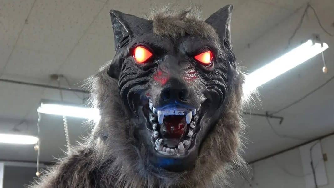 Lobos robôs viram arma improvável contra ataques de ursos no Lobos robôs viram arma improvável contra ataques de ursos no Japão