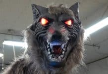 Lobos robôs viram arma improvável contra ataques de ursos no Japão Lobos robôs viram arma improvável contra ataques de ursos no Japão