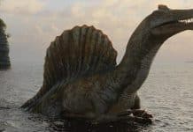 Luto pelos dinossauros invade as redes e mostra como jovens vêm o futuro Carlos Affonso Souza