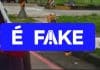 É #FAKE vídeo de gatinho flagrando 'traição'; cena foi gerada com inteligência artificial É #FAKE vídeo de gatinho flagrando 'traição'; cena foi gerada com inteligência artificial