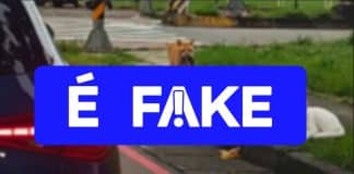 É #FAKE vídeo de gatinho flagrando 'traição'; cena foi gerada com inteligência artificial É #FAKE vídeo de gatinho flagrando 'traição'; cena foi gerada com inteligência artificial