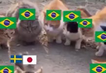 Japão x Suécia: veja memes do empate que definiu o próximo adversário do Brasil Japão x Suécia: veja memes do empate que definiu o próximo adversário do Brasil