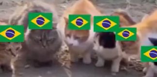 Japão x Suécia: veja memes do empate que definiu o próximo adversário do Brasil Japão x Suécia: veja memes do empate que definiu o próximo adversário do Brasil
