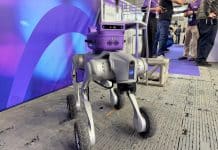 Startup brasileira cria ‘cérebro’ com IA para deixar robôs mais inteligentes; g1 conheceu o projeto Startup brasileira cria ‘cérebro’ com IA para deixar robôs mais inteligentes; g1 conheceu o projeto