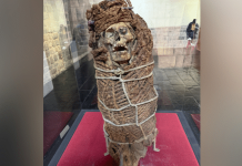 DNA da varíola é recuperado de múmias da época da conquista espanhola Antiga múmia inca em exibição em museu em Cusco, no Peru. Cientistas recuperaram DNA do vírus da varíola de duas antigas múmias incas encontradas no norte do Chile, segundo um novo estudo