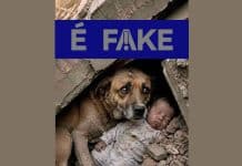É #FAKE foto de cachorro protegendo bebê em terremoto na Venezuela; imagem foi criada com inteligência artificial É #FAKE foto de cachorro protegendo bebê em terremoto na Venezuela; imagem foi criada com inteligência artificial