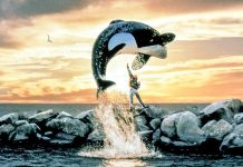 Free Willy vai ganhar reboot produzido pelos diretores de Vingadores Free Willy vai ganhar reboot produzido pelos diretores de Vingadores