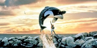 Free Willy vai ganhar reboot produzido pelos diretores de Vingadores Free Willy vai ganhar reboot produzido pelos diretores de Vingadores