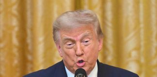 IA impulsiona exportações mexicanas para EUA e dificulta cruzada comercial de Trump IA impulsiona exportações mexicanas para EUA e dificulta cruzada comercial de Trump