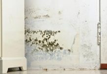Como tirar mofo do drywall e evitar que a umidade volte Em muitos casos, o problema não está na parede em si