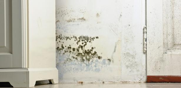 Como tirar mofo do drywall e evitar que a umidade Em muitos casos, o problema não está na parede em si