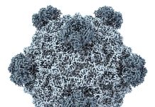 IA cria genoma de vírus do zero pela primeira vez, mostra estudo IA cria genoma de vírus do zero pela primeira vez, mostra estudo