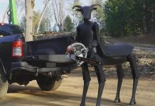 Robô centauro assustador viraliza na internet Robô centauro assustador viraliza na internet