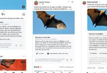 O que são ‘Notas da Comunidade’, que Meta irá inserir na América Latina Notas, elaboradas e aprovadas por usuários das redes sociais, costumam recorrer ao jornalismo independente para fundamentar as informações apresentadas