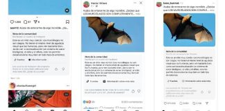 O que são ‘Notas da Comunidade’, que Meta irá inserir na América Latina Notas, elaboradas e aprovadas por usuários das redes sociais, costumam recorrer ao jornalismo independente para fundamentar as informações apresentadas