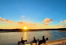 Paraíba ganha passeio a cavalo na praia e amplia opções de experiências no turismo