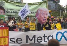 Especialistas da ONU questionam papel da Meta nas eleições no Brasil Especialistas da ONU questionam papel da Meta nas eleições no Brasil