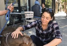 Quem é Shivon Zilis, ex-companheira de Elon Musk e executiva da Neuralink Quem é Shivon Zilis, ex-companheira de Elon Musk e executiva da Neuralink